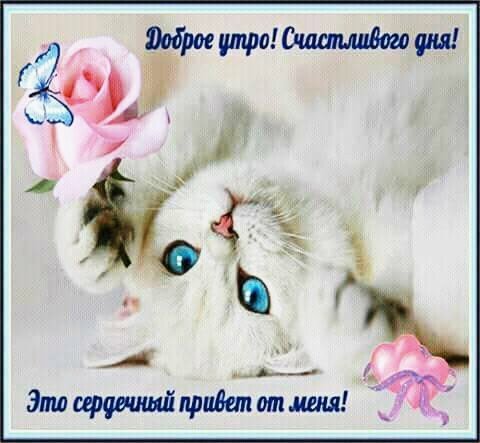 доброе утро 101728