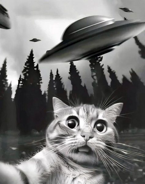 Fde88a8f18635a20a24b5fe813447421