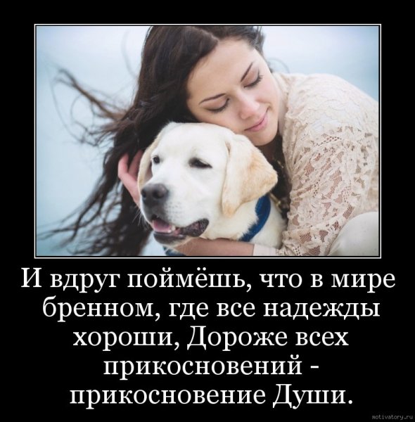 И вдруг поймёшь...