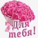 розы