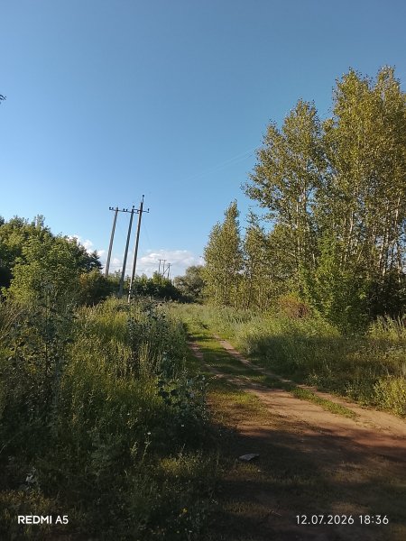 picture_419013247