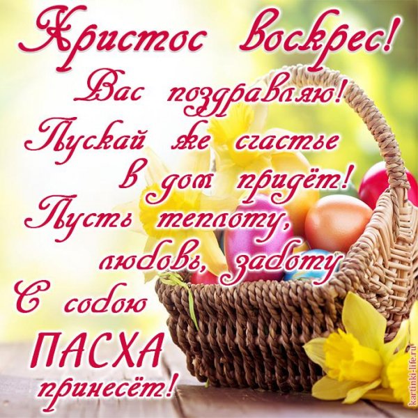 IMG-20200419-WA0015