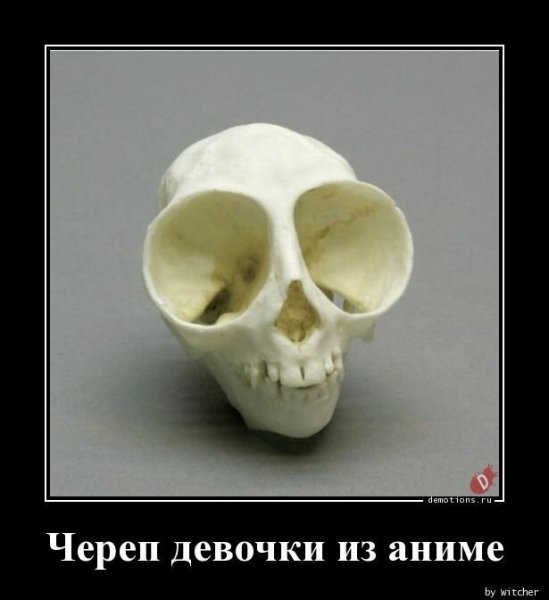 cherep-devochki-iz-a-demotions-ru