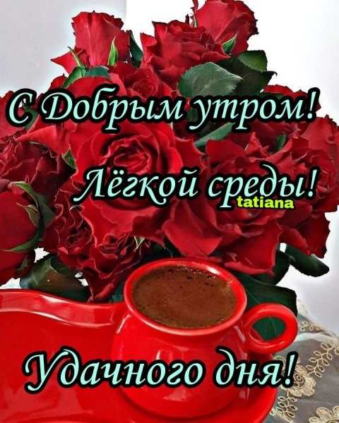 Друзья мои!