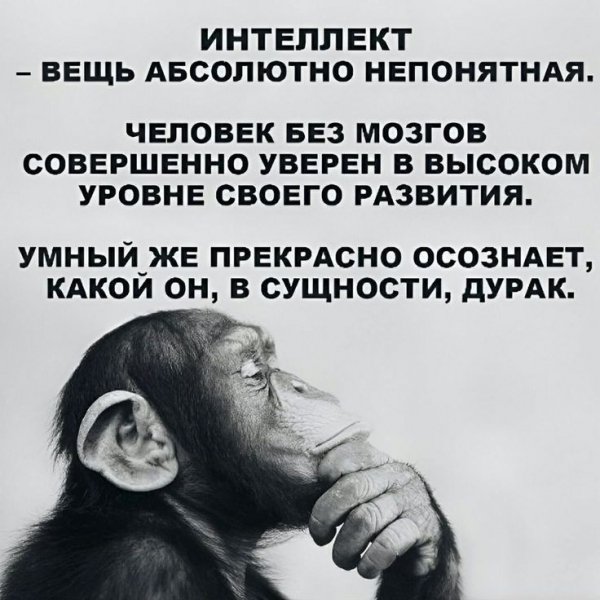 Cf05d430c097b5f2ee9b43ba265bd7a8