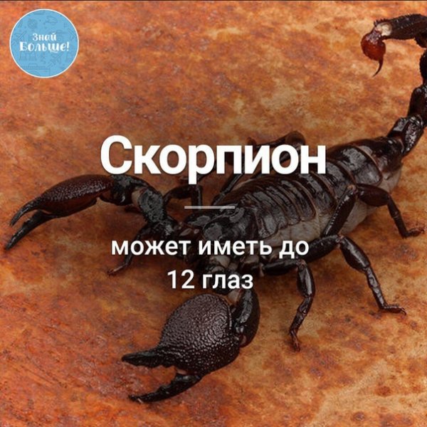 MoBVEDoh7KA