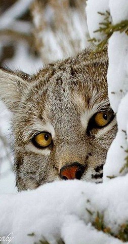 image (3) (14)