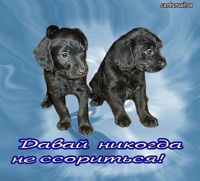 davvnikogdanessor