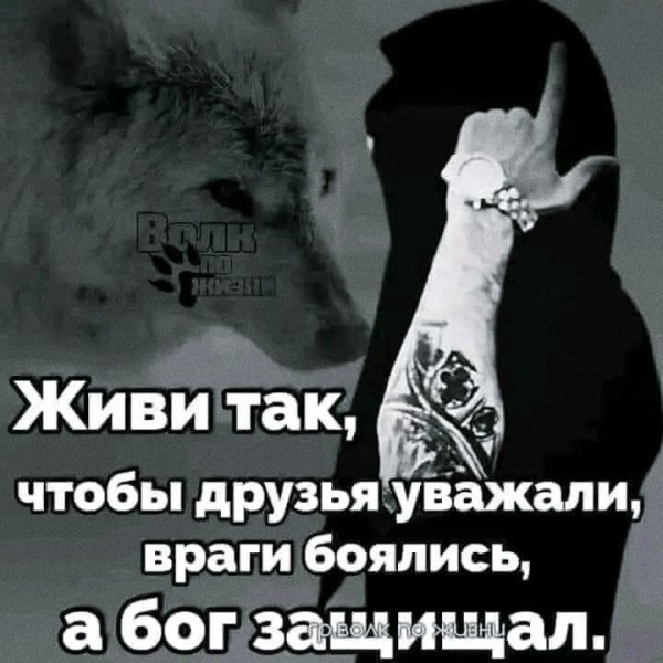 picture_411336994