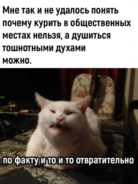 Psyxo.loves 428c1abb5954453aa5afb3060dcb0053