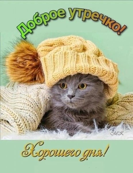 c1f9b84883a5a506267a724466