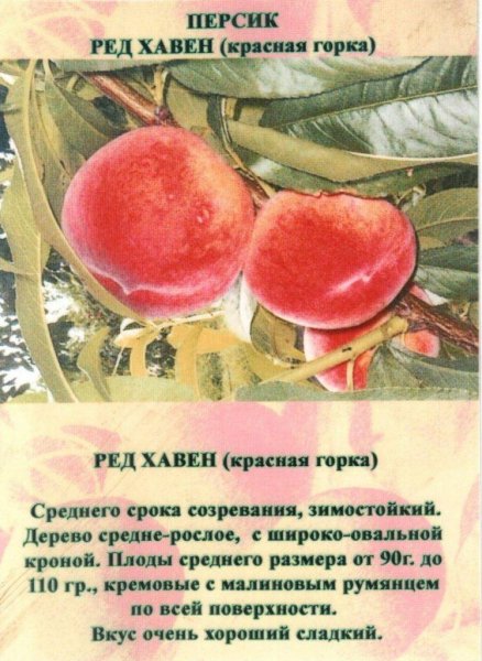 "Красная Горка"