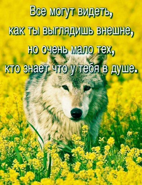 IMG 20220311 111800