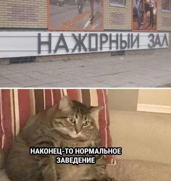 VniAYB8pMMU