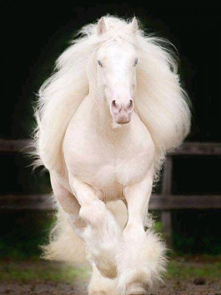 FB IMG 15643131084410801