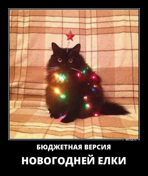 Бюджетная версия