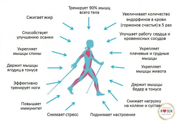 Польза ходьбы