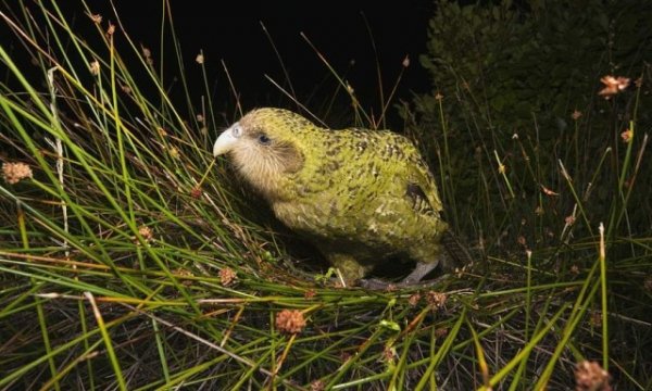 I - 2025-11-23T082042.883