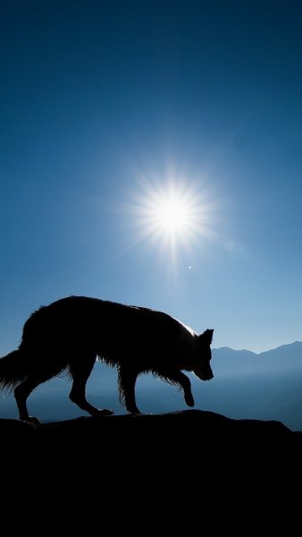 ZamanilkaRUS Wallpaper (72)