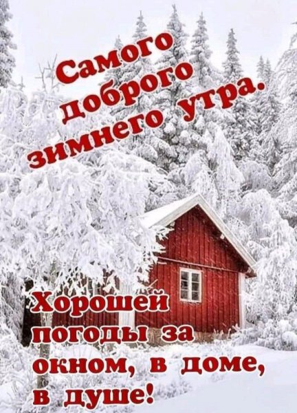 IMG 20250105 083325 451