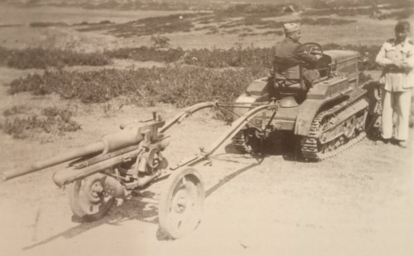 Cannons da 4732 Mod 35 elefantino