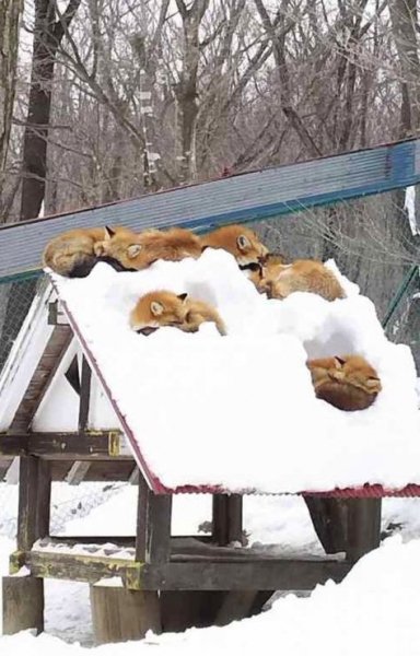 Письмо 18 пинов, на которые стоит взглянуть Pinterest Яндек