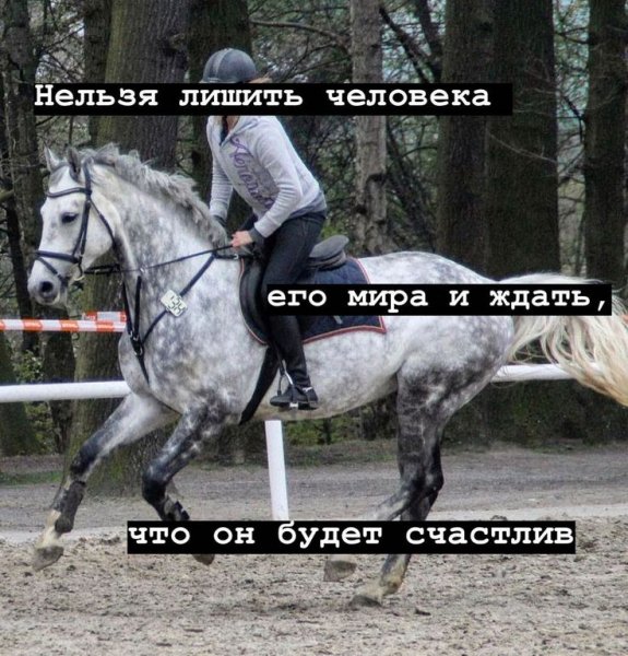 Верные слова!