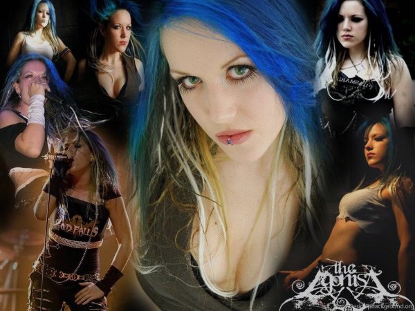 The agдonist Y6Cznu- 3E4