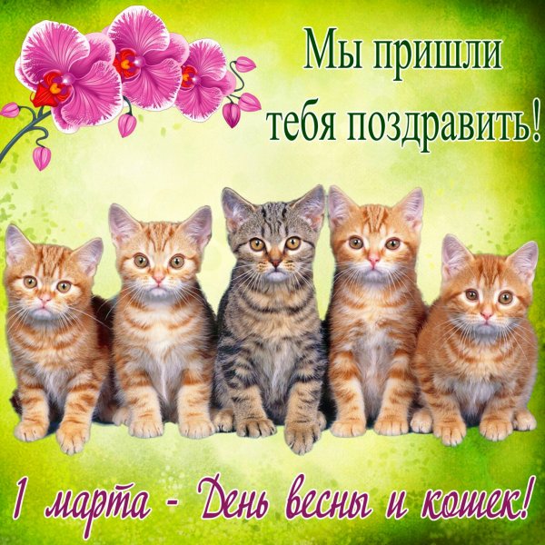1 марта