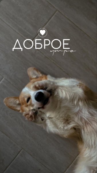 Доброе утро!