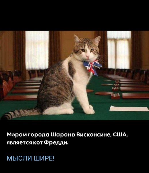 Мэр города