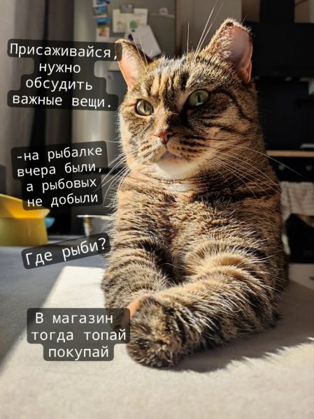 Brjarfkj