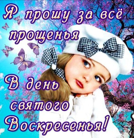 IMG-20200301-WA0006