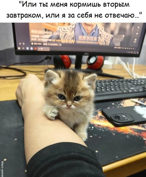 Предупреждение )