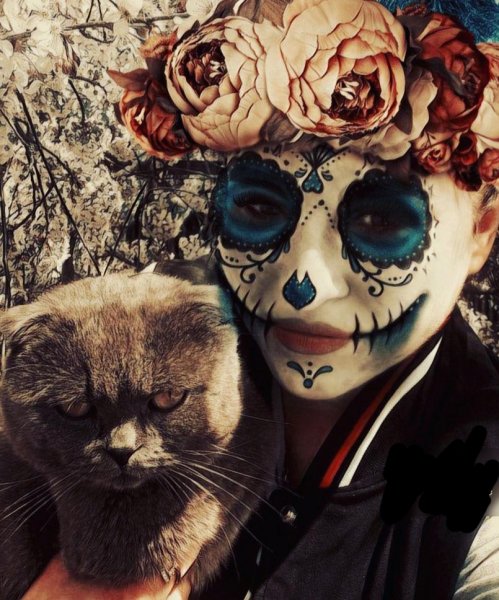 0c071268-7384-410c-9e68-f9180897224f