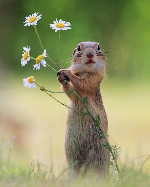 zfqgIUhIIrW4h0oubr4pRMFwPI2PtKU09-m1FNWxfEv3dlQJfb4DGVR62Wa