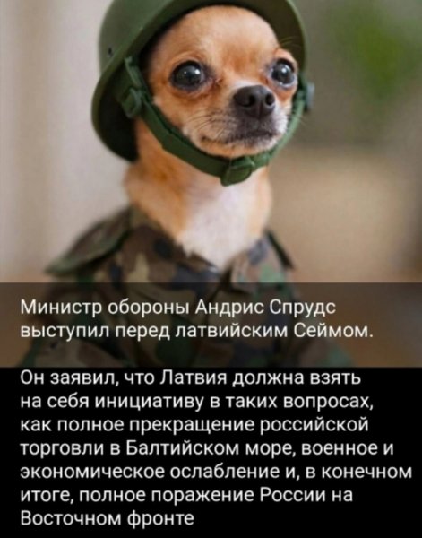 IMG 20260213 080516