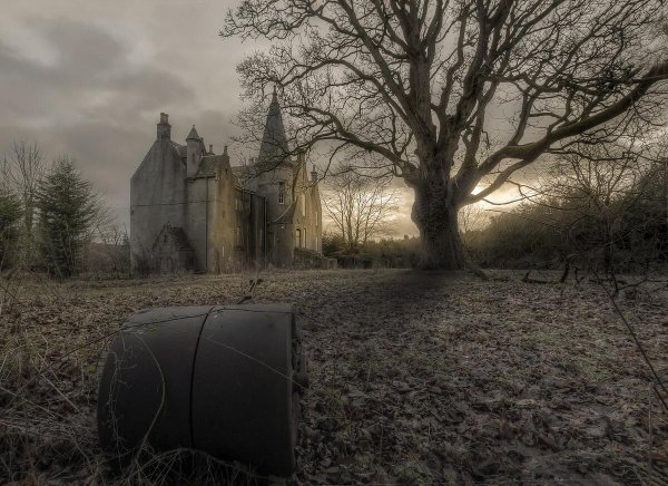 Dark-trees-castle-building