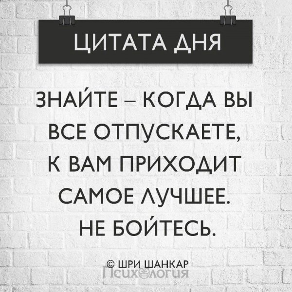 Цитата дня