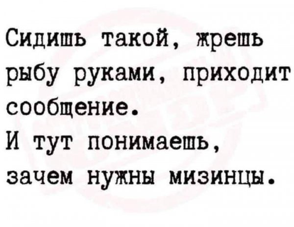IMG 20250804 947