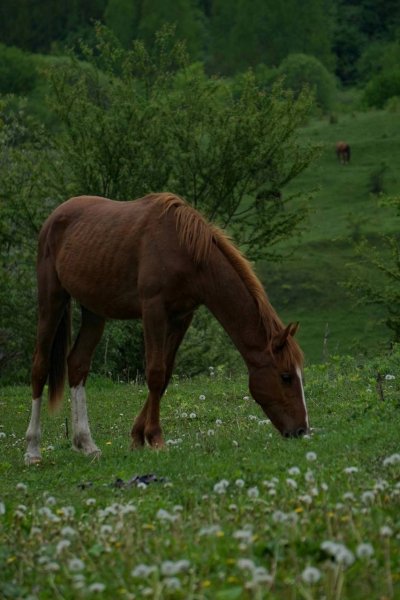 DF1C-9D31-4464-A0D8-F403EB17742C