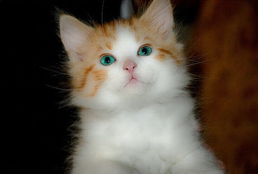 IMG 20170510 210714 6