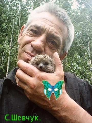 С.Шевчук.