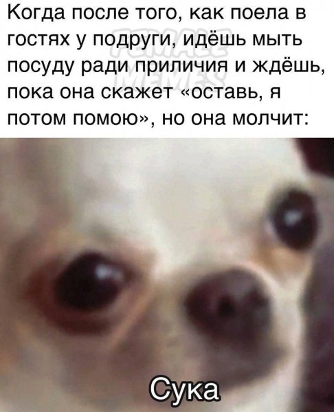 IMG 20260421 114825 638