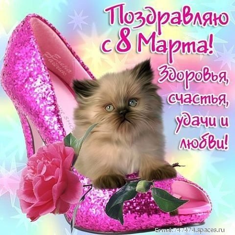 wap sasisa ru
