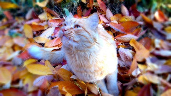 tmp 14110060898381827769042