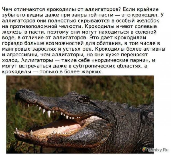 Различия
