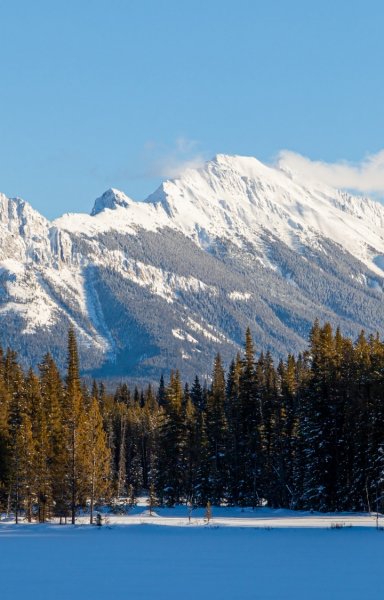 Screenshot 20240516-131328 One UI Home