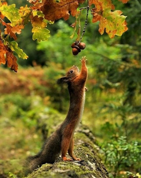 53e35bbc664b6fdbda99134762370042