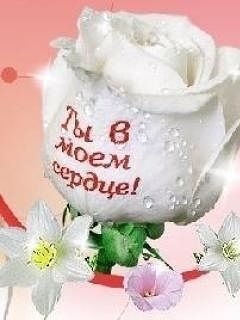 Ты в моём сердце